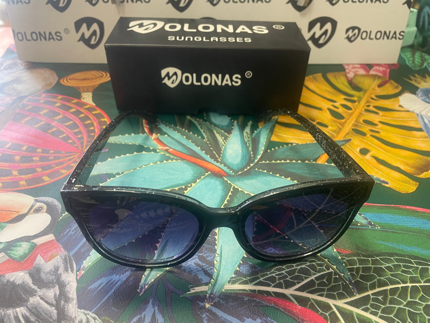 GAFAS DE SOL MOLONAS NEGRO-VIOLET